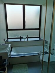 The Amarelle (D15), Apartment #567098191